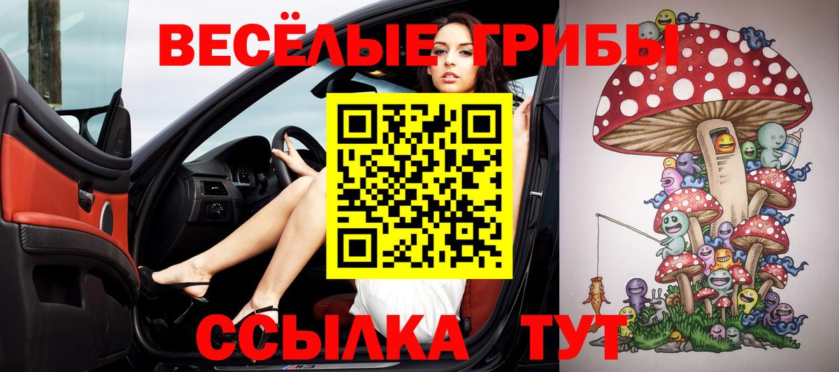 Галлюциногенные грибы прущие грибы Екатеринбург