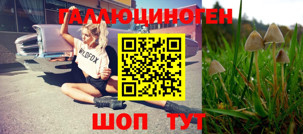 Екатеринбург  Псилоцибиновые грибы мухоморы  Галлюциногенные грибы GOLDEN TEACHER  Вход с VPN 